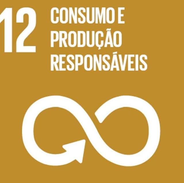 Logo ODS 12 - Consumo Responsável