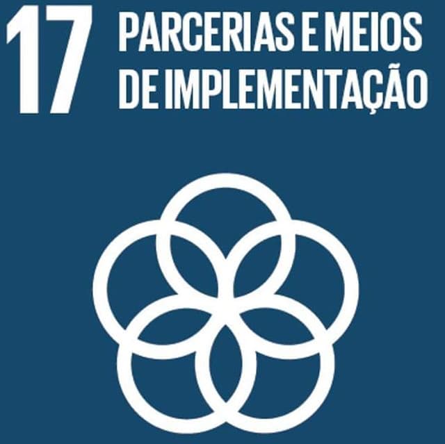 Logo ODS 17 - Parcerias